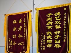 -中农国际动物医院24小时·猫科·骨科·急重症中心