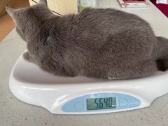 -宠颐生中康贝怡动物医院