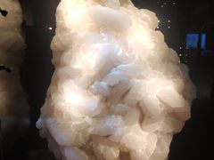 -中国地质大学逸夫博物馆