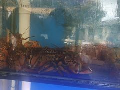 -阿弟特色海鲜餐厅·大排档(平潭店)