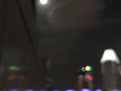 -新加坡瑞士史丹福酒店