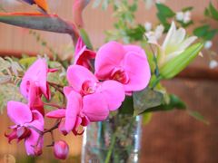 -上海东方佘山翰悦阁酒店·Vie全日制餐厅