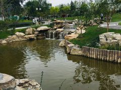-西海子公园