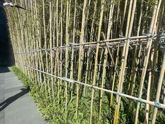 -深圳国际会展中心洲际酒店