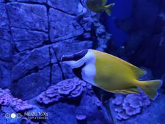 -成都浩海立方海洋公园