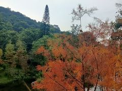 -云溪植物园