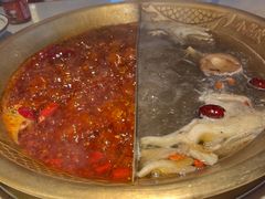 鸳鸯锅-小龙坎火锅(全球总店)