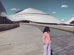 -哈尔滨大剧院