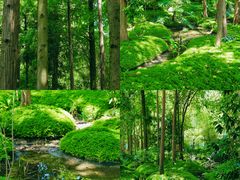 -成都市活水公园