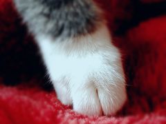 -瑞幸咖啡(江苏国家数字出版基地店)