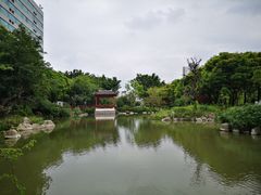 -乌山风景区