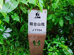 -阳台山森林公园