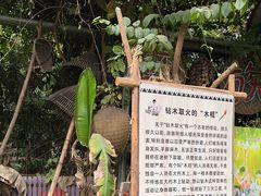 -呀路古热带植物园