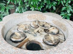 -天目湖涵田半山温泉