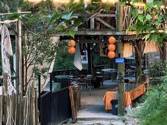 -铁山坪森林公园