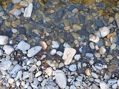 -黑河国家森林公园