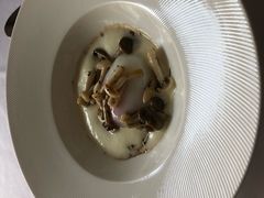 -蝶舍·MAISON PAPILLON