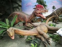 -国家自然博物馆