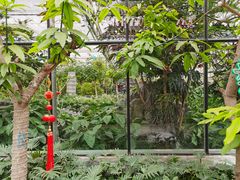 -南宫五洲植物乐园