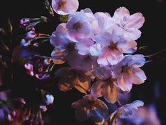 -永乐路-路侧停车场