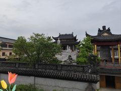 -观潮胜地公园