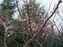 -白塘生态植物园