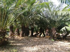 -华南国家植物园-售票处