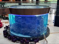 -OPEN開全日自助餐厅·牛肉火锅·海鲜(佛山希尔顿酒店)