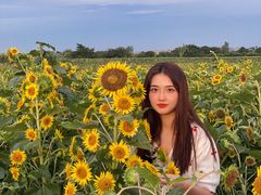 -汉长安城未央宫国家考古遗址公园