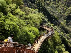 -少华山国家森林公园