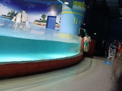 -重庆欢乐海底世界