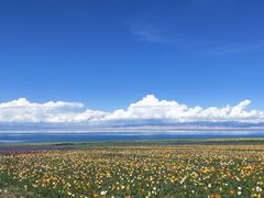 -青海湖国家重点风景名胜区