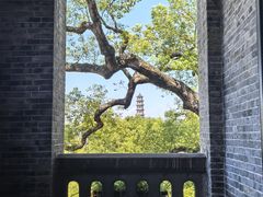 -江心屿景区