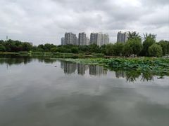 -太阳宫公园