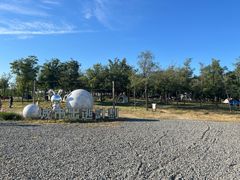 -天津东丽湖风景区