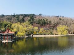 -北岭山森林公园