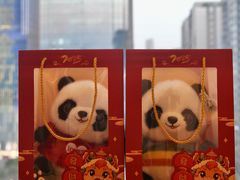 -珠海中海雅高铂尔曼酒店