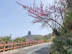 -杭州半山国家森林公园