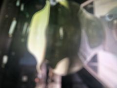 -上海观复博物馆