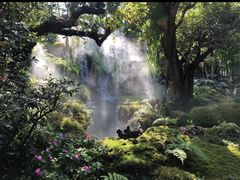 -Chom Cafe and Restaurant