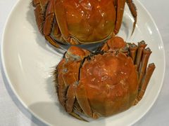 -西湖春天•老字号杭州菜(百汇店)