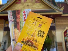 -西双版纳勐泐文化旅游区