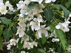 -长春公园(普阳街道)