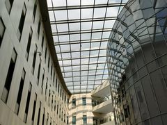 -首都医科大学附属北京天坛医院