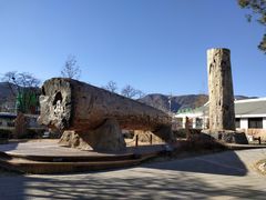 -国家植物园南园