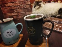 -喵园·猫主题咖啡厅·撸猫·猫咖(国贸店)