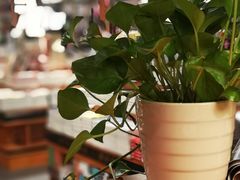-SISYPHE BOOKS西西弗书店(龙湖滨江天街店)