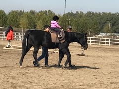 -月河湾马术俱乐部(朝阳店)