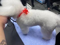 -宠物家(大兴旧宫店)