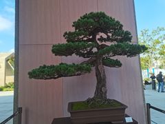 -上海植物园-4号门售票处